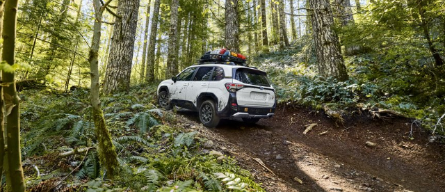 front action major of the Forester Wilderness in Crystal White Pearl on a dirt trail. Accessories include a Thule roof basket.