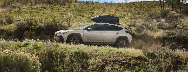 Side profile beauty action shot captured on hill. Thule roof cargo box accessroy on roof racks