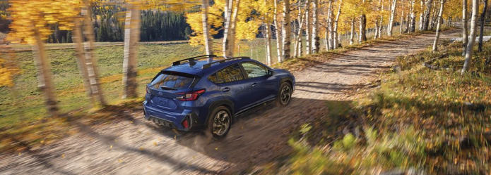 Unlimited Exterior Action Beauty Major Autumn Foliage with out accessories