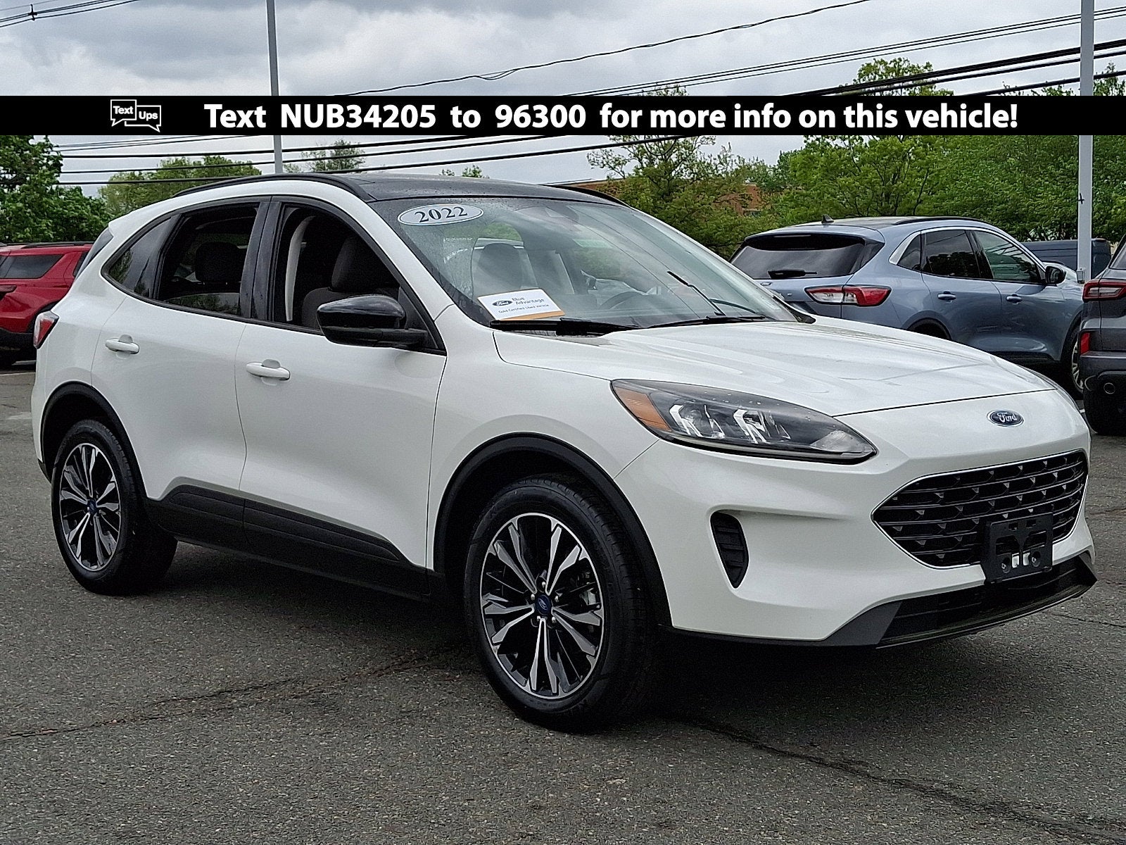 2022 Ford Escape SE
