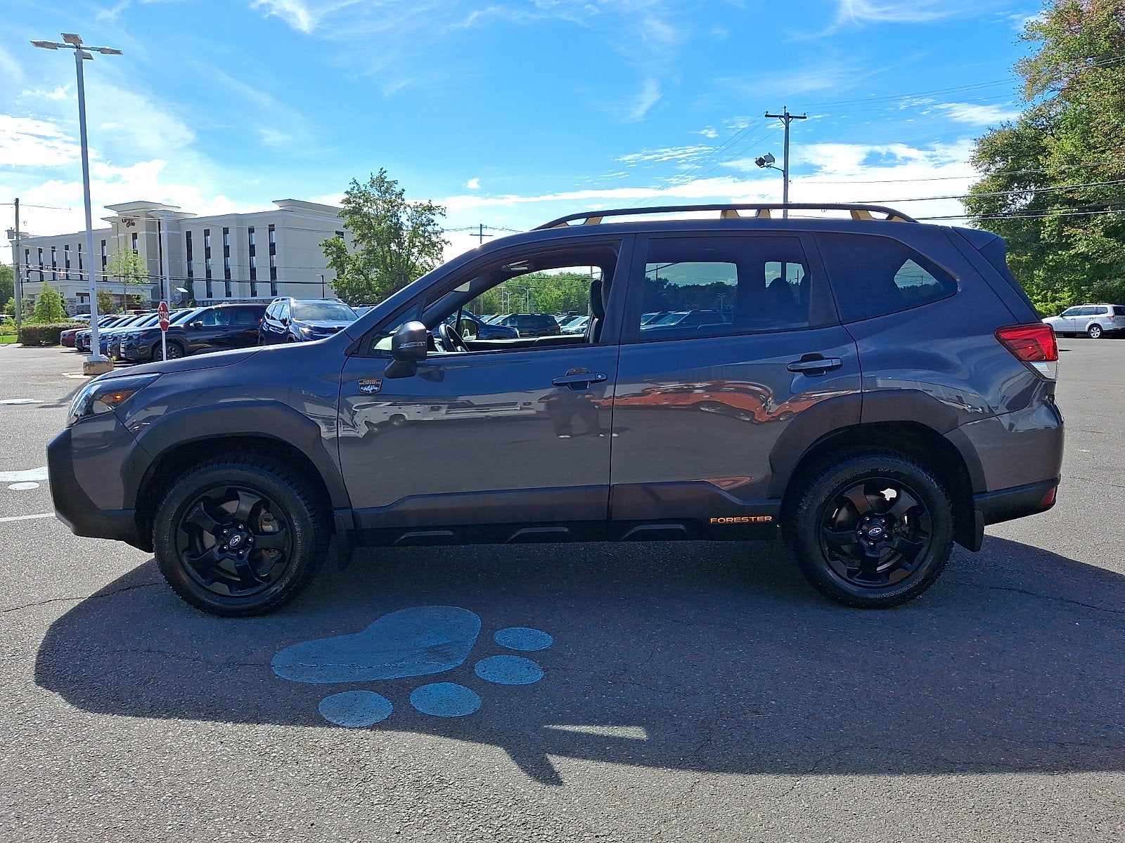 2023 Subaru Forester Wilderness
