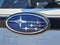 2025 Subaru Forester Sport Hybrid