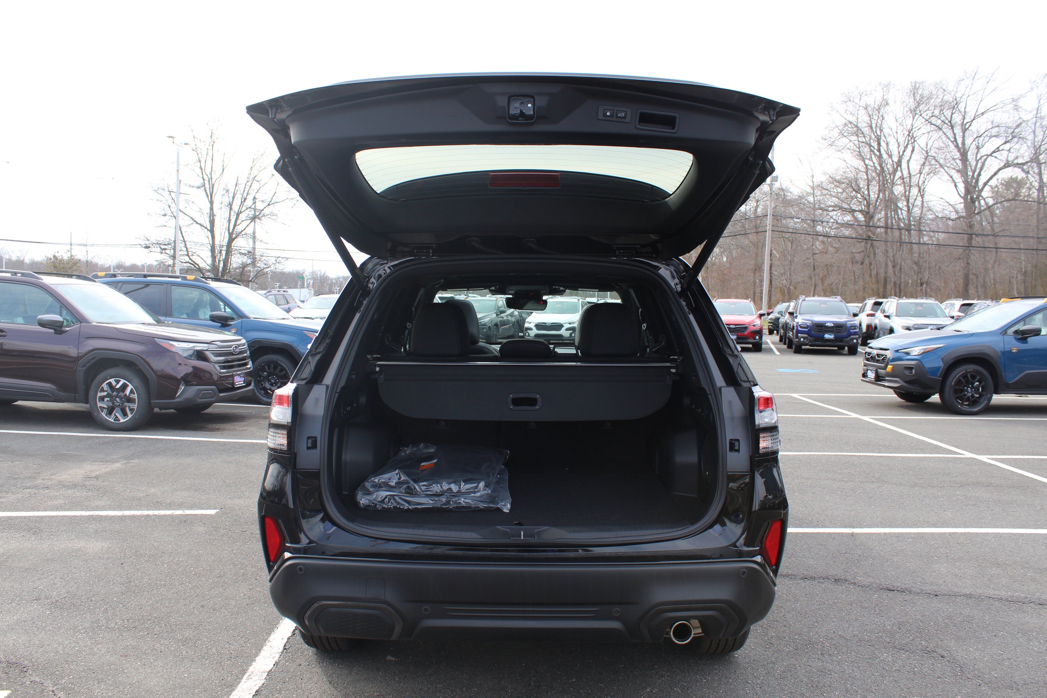 2026 Subaru FORESTER Limited