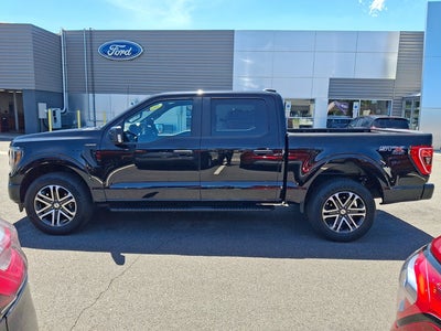 2023 Ford F-150 STX