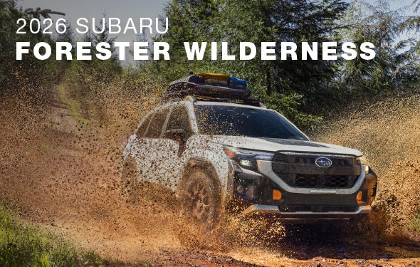 2026 Subaru Forester Wilderness | All American Subaru of Old Bridge in Old Bridge NJ