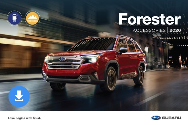 All American Subaru of Old Bridge in Old Bridge NJ