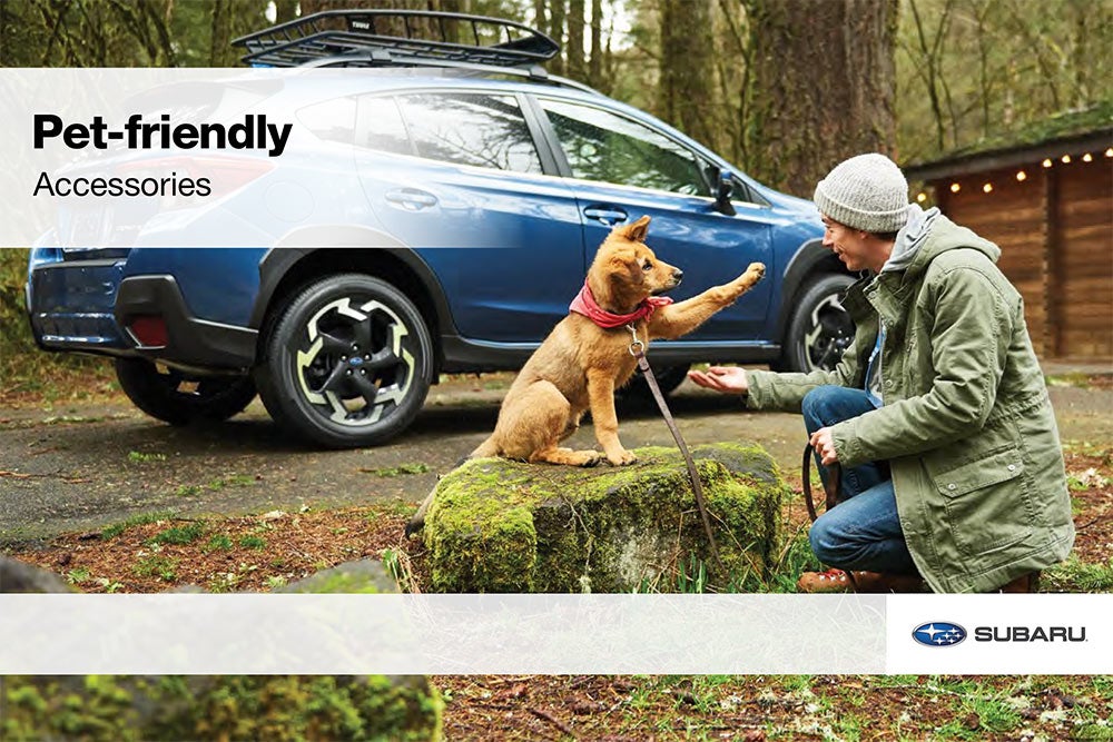 All American Subaru of Old Bridge in Old Bridge NJ