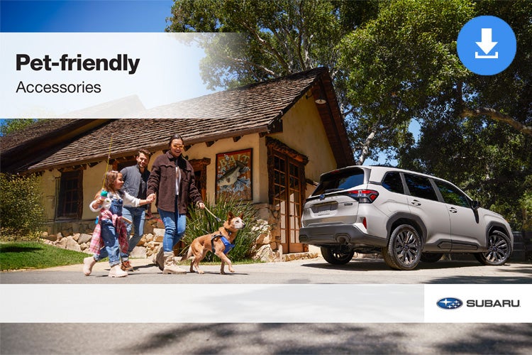 All American Subaru of Old Bridge in Old Bridge NJ