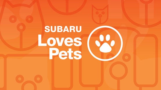 All American Subaru of Old Bridge in Old Bridge NJ