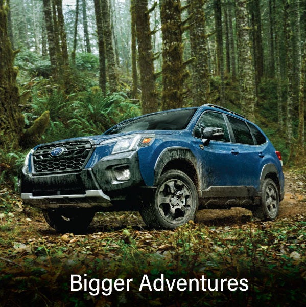 A blue Subaru outback wilderness with the words &ldquo;Bigger Adventures&ldquo;. | All American Subaru of Old Bridge in Old Bridge NJ