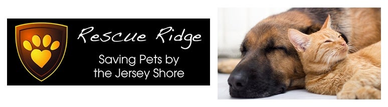 All American Subaru of Old Bridge