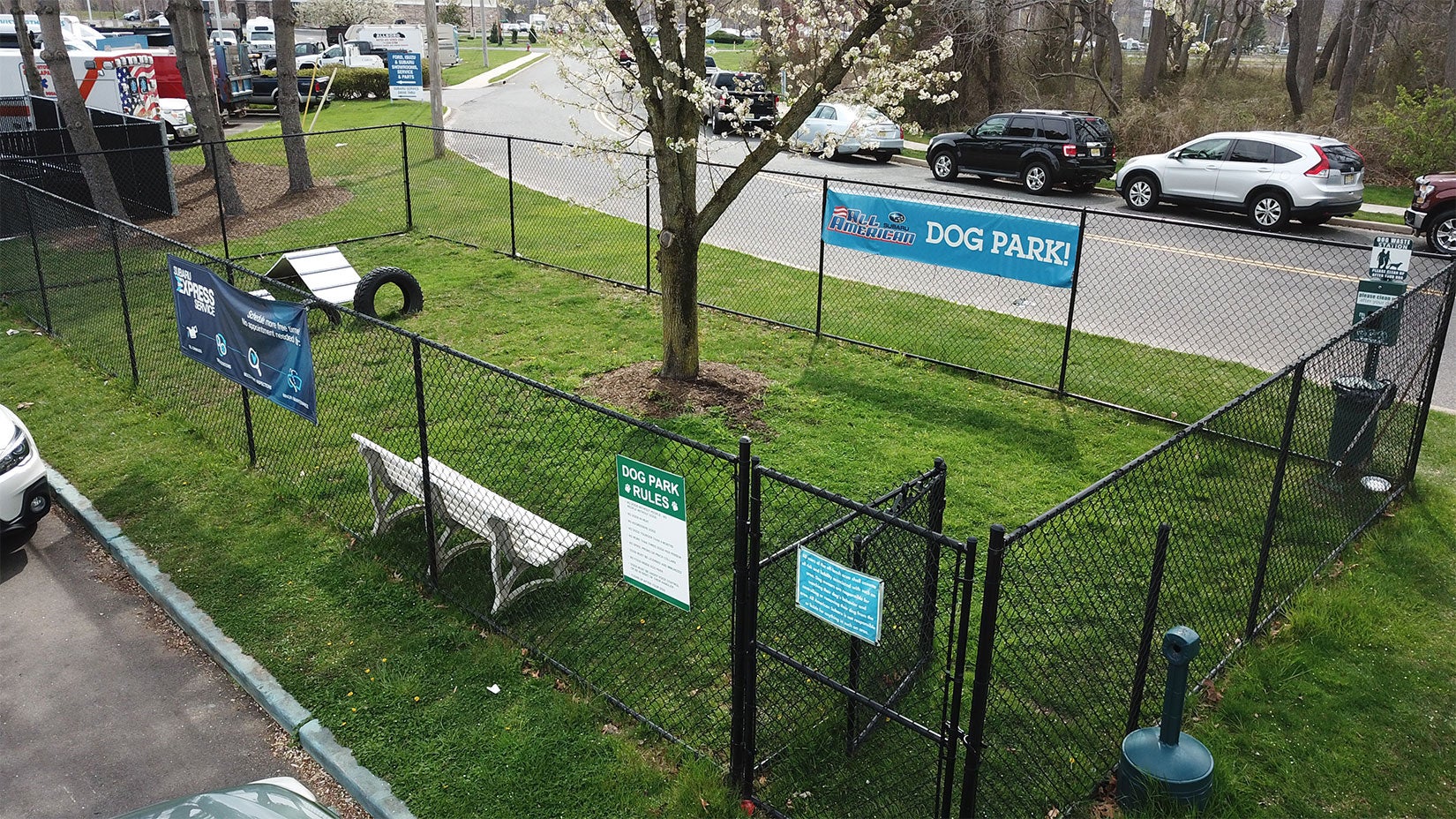 The All American Subaru Dog Park
